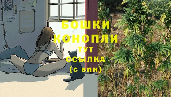 спайс Лагань