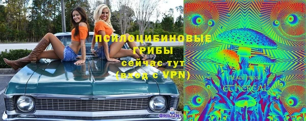 спайс Лагань