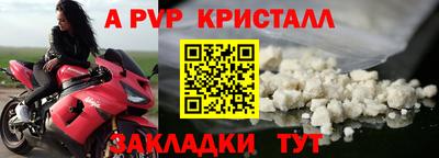 прущие грибы Апрелевка