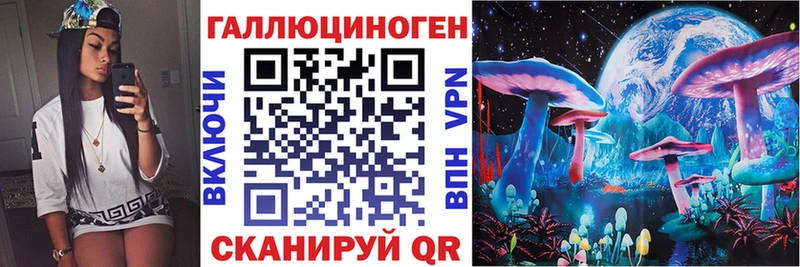 Галлюциногенные грибы Cubensis  Калининград 