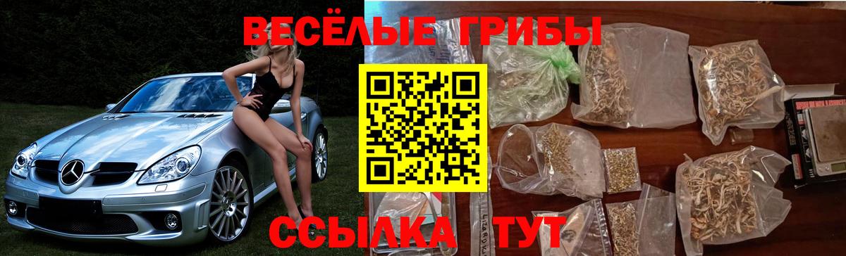 Галлюциногенные грибы мицелий Калининград